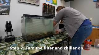 Trout Tank Setup