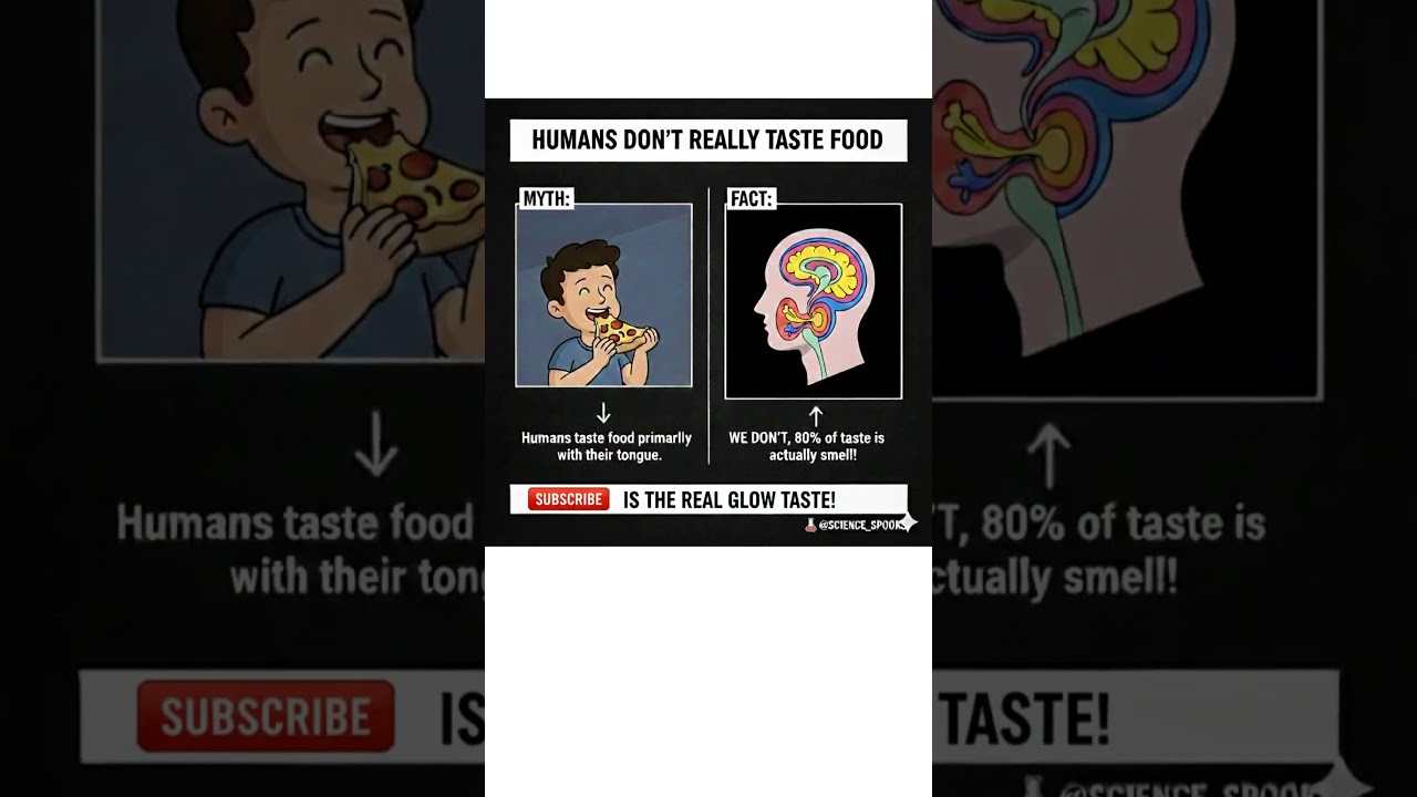 Bizarre Facts About Humans You Didn't Know