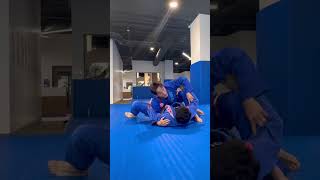 Leg Drag / Canto Choke / Arm Lock / Modified Darce Choke