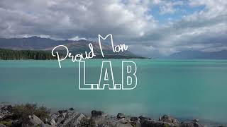 L.A.B - Proud Man   Tuned to 432 hertz