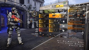 The BEST status effect build you will ever see in Conflict/DZ! Weapon AND skill damage in one build!