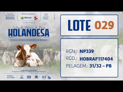 LOTE 29 NP 339