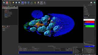 Lean how to create an amazing video from your microscopy data - Tutorial