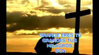 Video thumbnail of "GRANDE ERES TÚ"