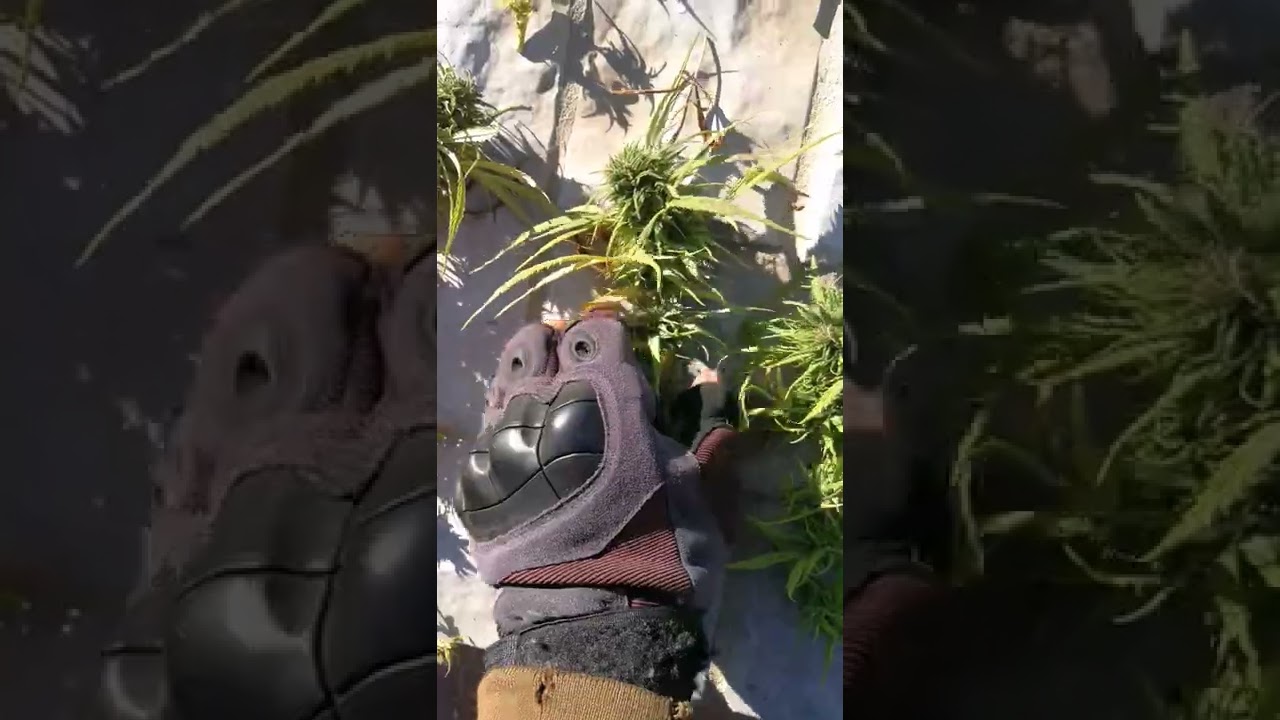 Another one... 😁🔥