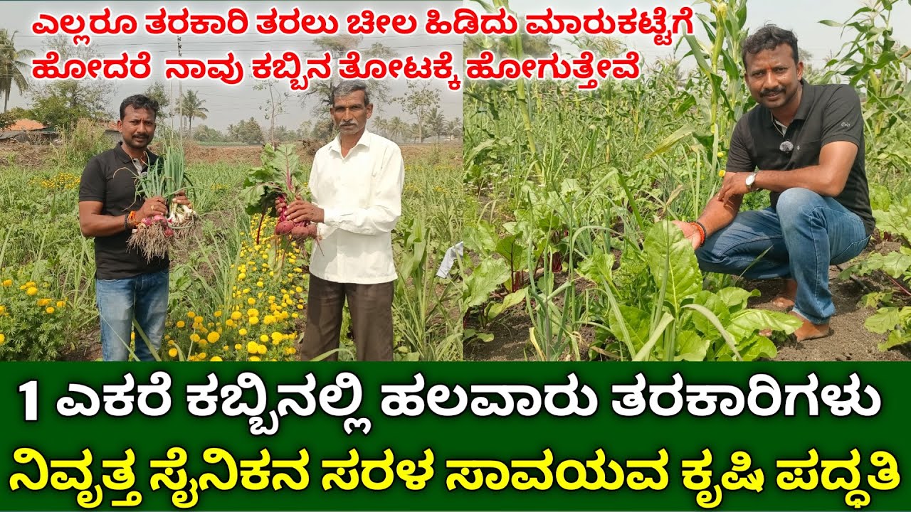1 ಎಕರೆ ಕಬ್ಬಿನಲ್ಲಿ ಹಲವಾರು ತರಕಾರಿಗಳು | organic vegetable farming kannada | intercropping in sugarcane