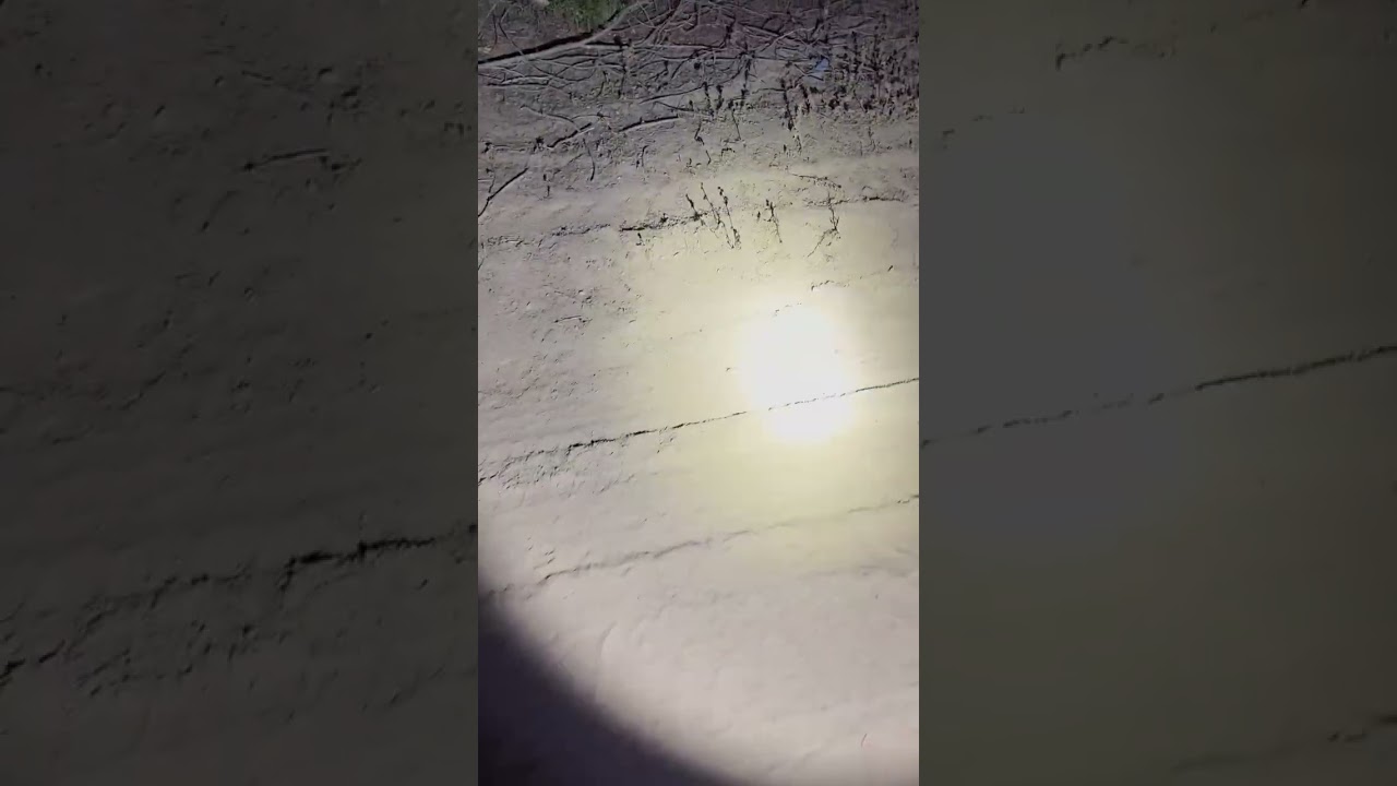 Tracking a Rattlesnake