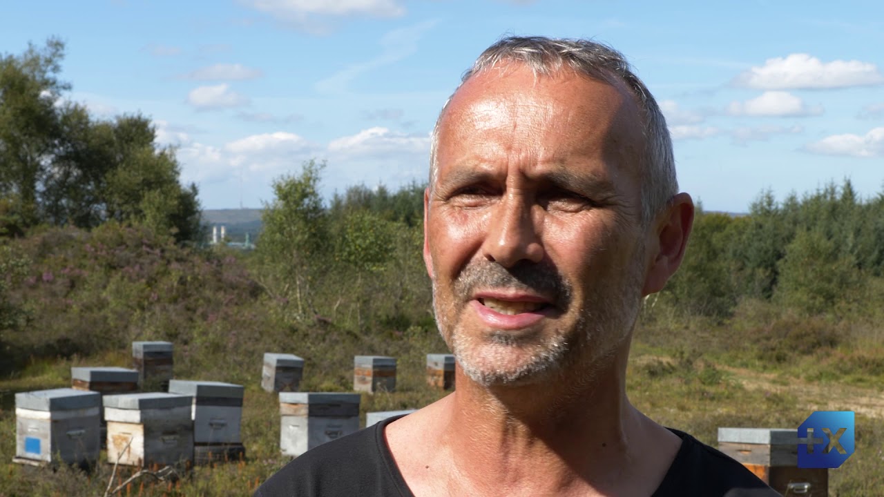 BPGO 29 Reportage Miellerie de Huelgoat