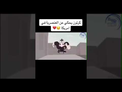 العنصرية في أمريكا   