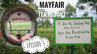 Luxury Stay Among Tea Plantations 😍🍵 | Mayfair Tea Resort | Darjeeling Vlog | Episode 5