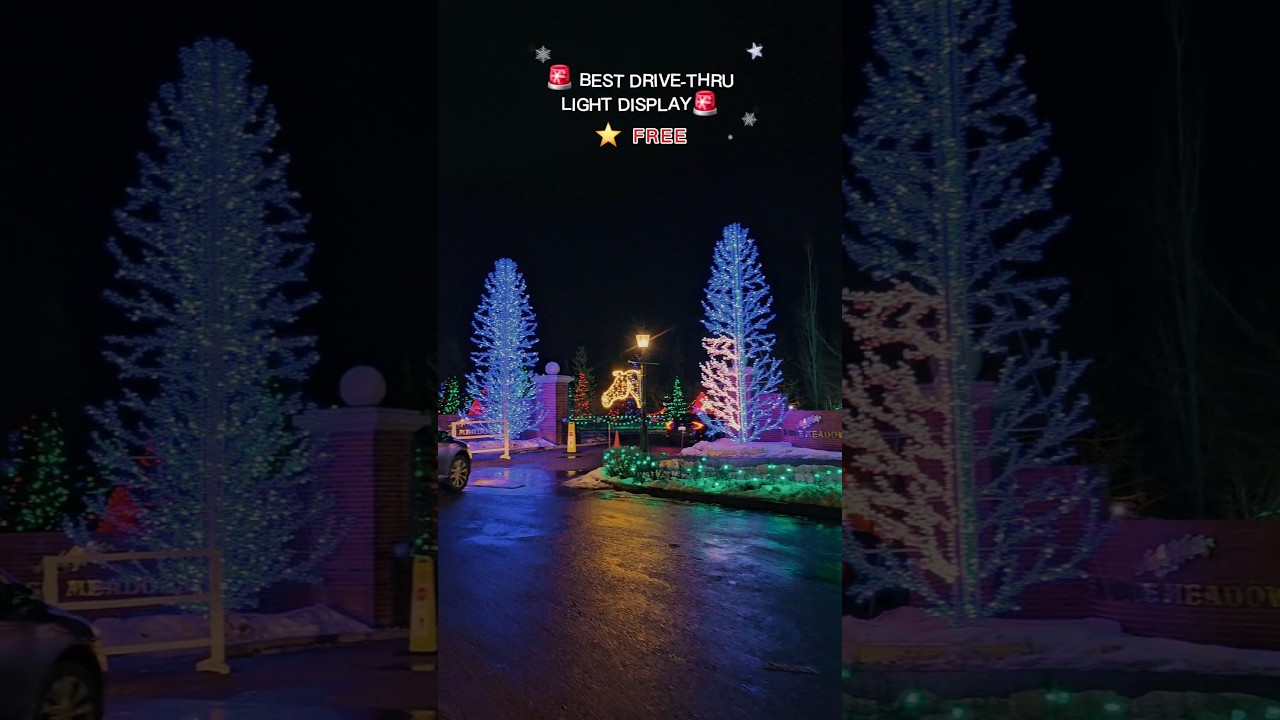 🚨 Looking for a magical holiday activity? 