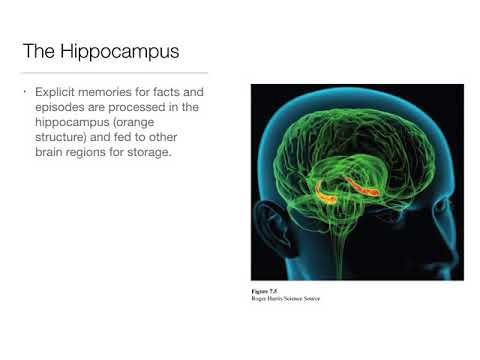 Intro Psych: 7.7