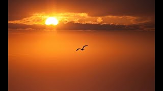 Montsou - Ama Hiç Şansın Yok