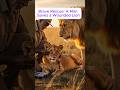 Brave Rescue: A Man Saves a Wounded Lion#lion #hero #animals #rescue