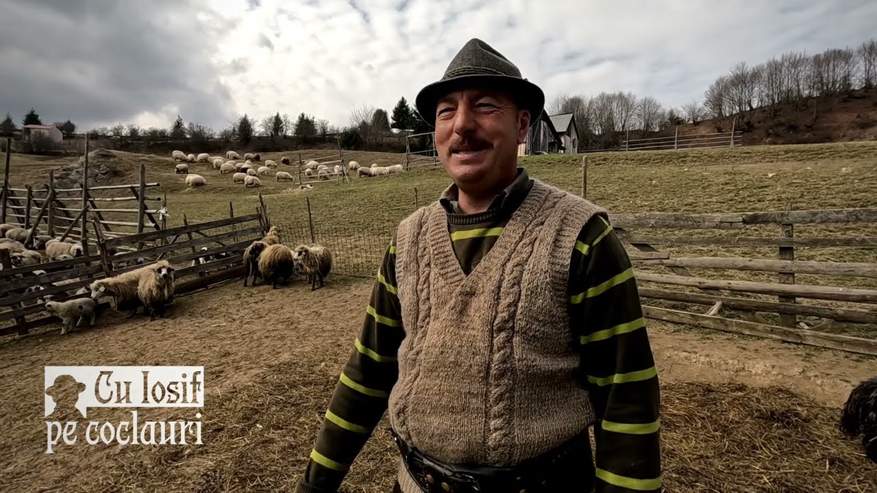 📍 Rânduiala ciobănească din pragul primăverii: la stâna maramureșeană a lui GHEORGHE FIȚIGĂU (🆕2024)