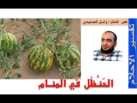 الحنظل في المنام الحنظل في الحلم إعداد وائل الحديدي