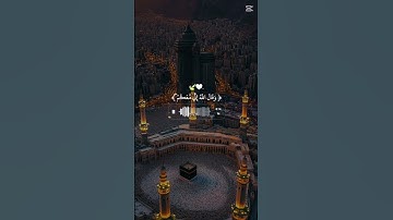 من تلاوة القارئ مشاري العفاسي