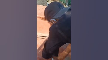 2 ANH EM ĐI CÂU CÁ NÂU 120 k ký bán 🇻🇳