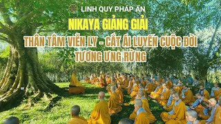 NIKAYA Giảng Giải - Thân Tâm Viễn Ly - Cắt Ái Luyến Cuộc Đời - Tương Ưng Rừng
