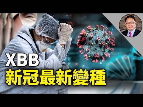 牢记健康四维，你会知道如何正确应对XBB变种病毒！