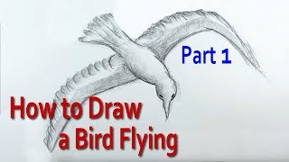 How To Draw A Bird Flying In The Air - Easy Drawing