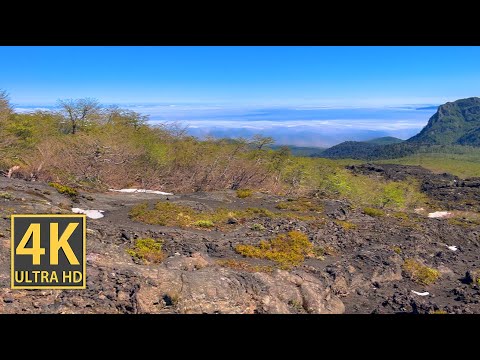 High Tablelands Nature Walk 4K (With Ambient Nature Sounds And Music)