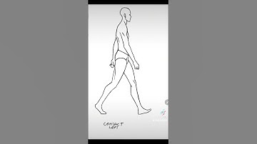 how I did 2d Animation of walking cycle using krita.