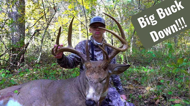 Big Ohio buck down!! Rattled in a STUD!!! Mid Octo...