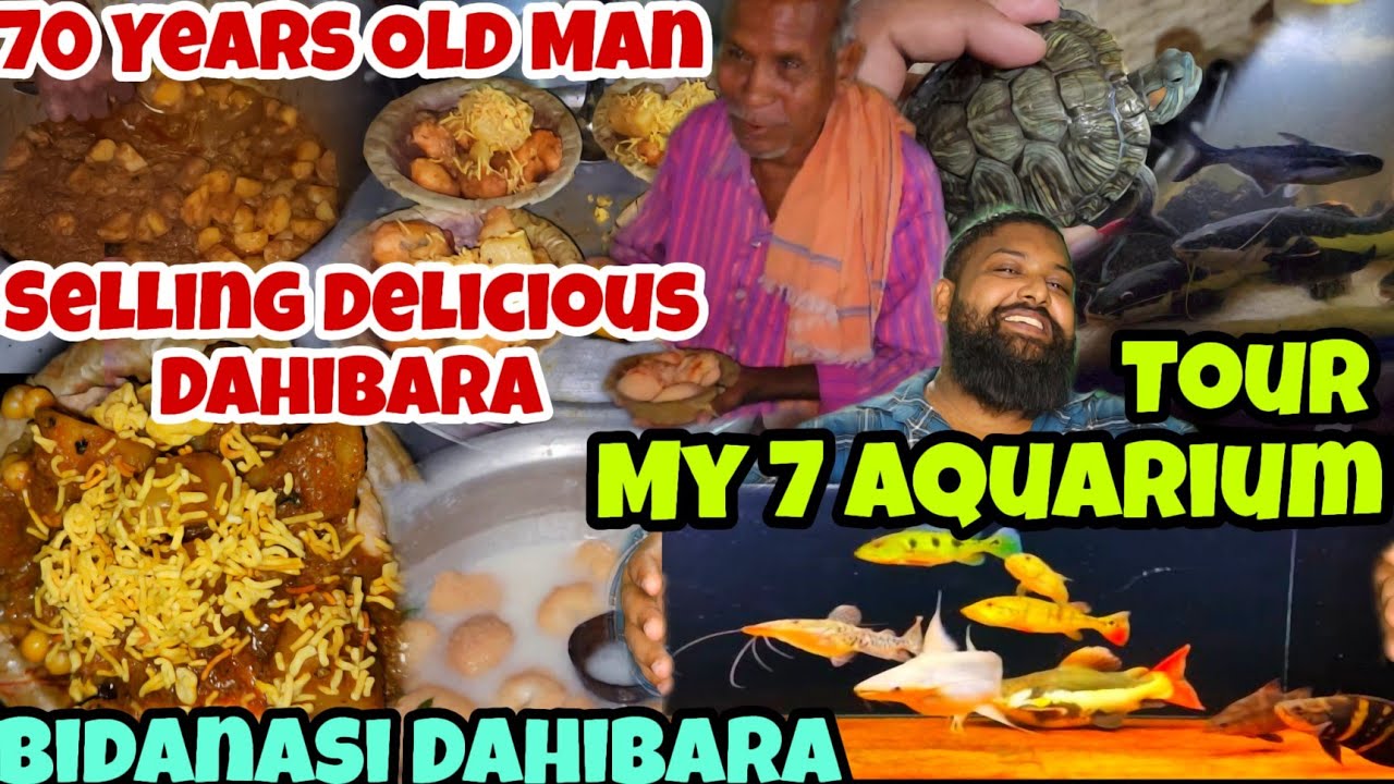 70 Years Old Man Selling Delicious Dahibara in Bidanasi / My Aquarium's Tour / Jena Babu Vlogs