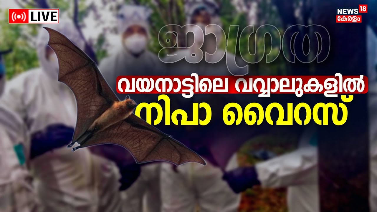 LIVE | Nipah Virus In Kerala | Nipah In Bat Samples | Health Minister ...
