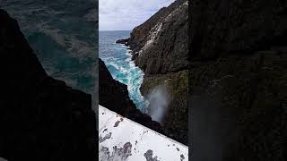 The sound before the wave hits is crazy 😳 #labufadora #mexico #ensenada #travel #youtubeshorts