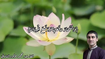 تلاوة قصيرة مرتلة من بداية سورة الرحمن بصوت القارئ محمد مولود الشاماني