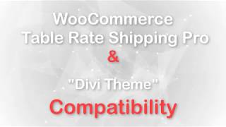 Divi Theme Compatibility - WooCommerce Table Rate Shipping Pro