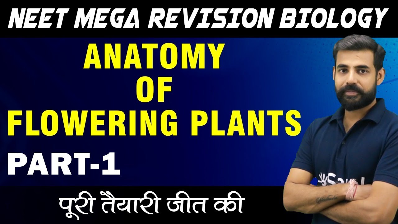 Anatomy of Flowering Plants Part-1 Class 11 Biology NEET Mega Revision ...