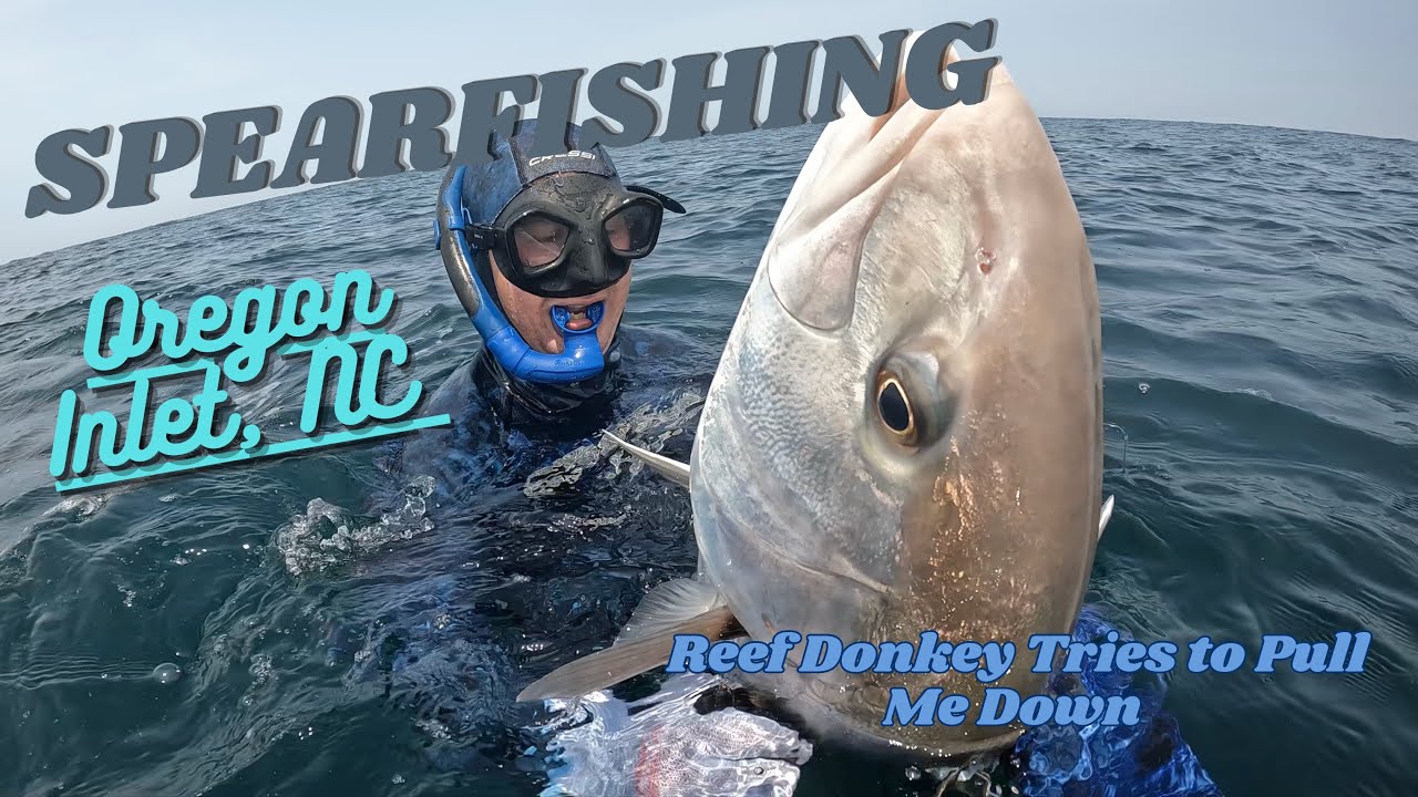 Spearfishing Oregon Inlet with Vicarious Spearfishing Charters YouTube