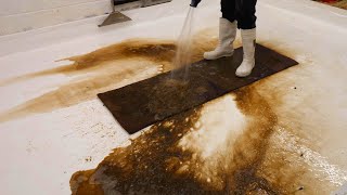 The Runner From HELL ! and Back Again | Satisfying ASMR carpet cleaning