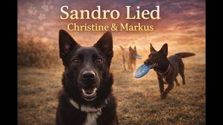 Sandro Lied Von Christine Markus