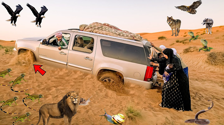 تحدي نعيش يوم كامل فى الصحراء 🏜 (كيف نجونا من هذا ...😫