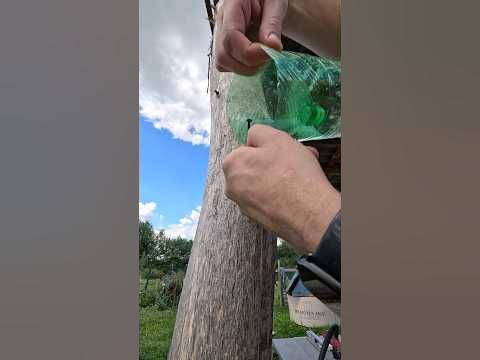 ИЗБАВИЛСЯ ОТ ОС И ШЕРШНЕЙ - YouTube