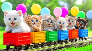 MEOW MEOW KITTENS | Children's Songs | Popular Indonesian Children's Songs The Cute Cat Meow