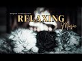 Fireplace Piano Music for Sleeping Fast | Stress Relief &amp; Anxiety Calm