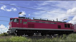 EF510-1トップナンバー牽引【4K】信越本線下り4091レ