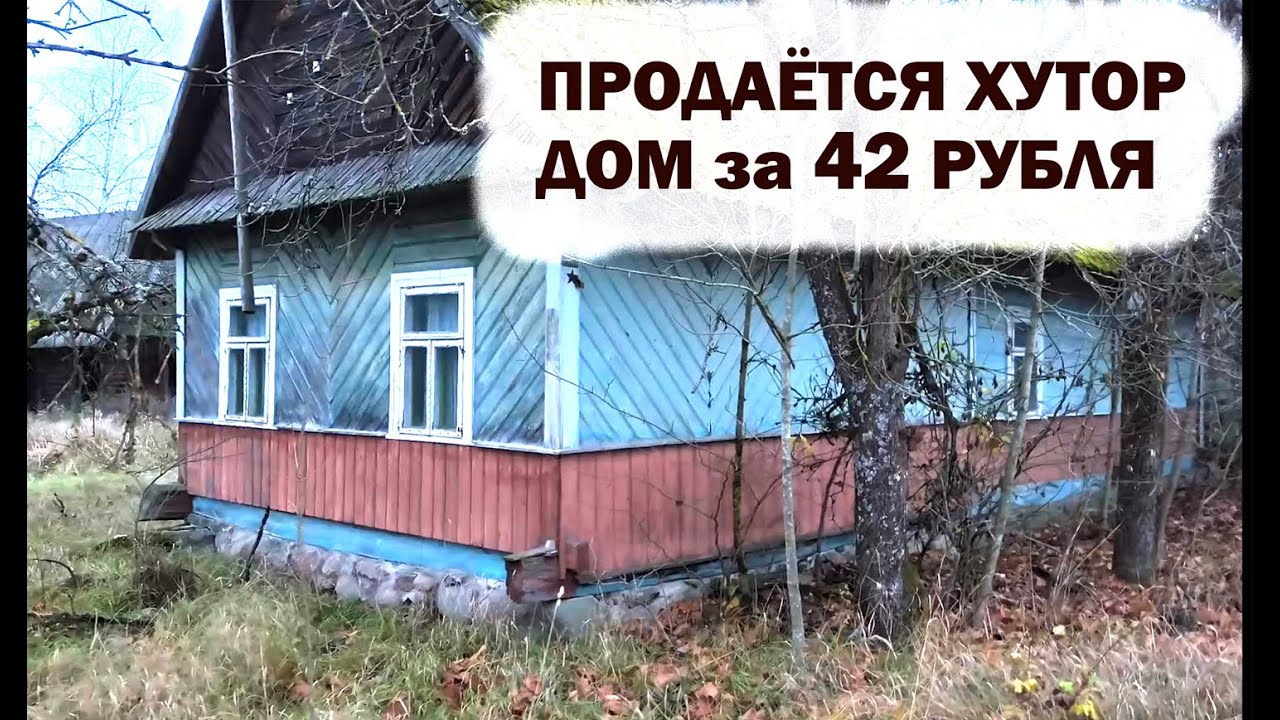 Брестская область. ХУТОР и дом за 42 РУБЛЯ #беларусь #belarus #обзордома #хутор #беловежскаяпуща