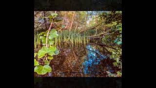 Lagoa da Frouxeira, Valdoviño, a 3km. de “CoraLita”
