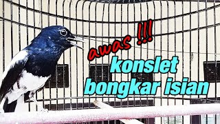 KACER GACOR konslet untuk PANCINGAN KACER agar EMOSI dan bongkar isian
