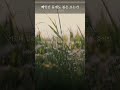 마음이 울컥했던 시 | 빼앗긴 들에도 봄은 오는가 — 이상화 #Shorts