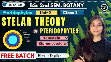Stelar system in pteridophyta bsc 1st year 2nd semester unit 2 🔥💯 ZB Batch