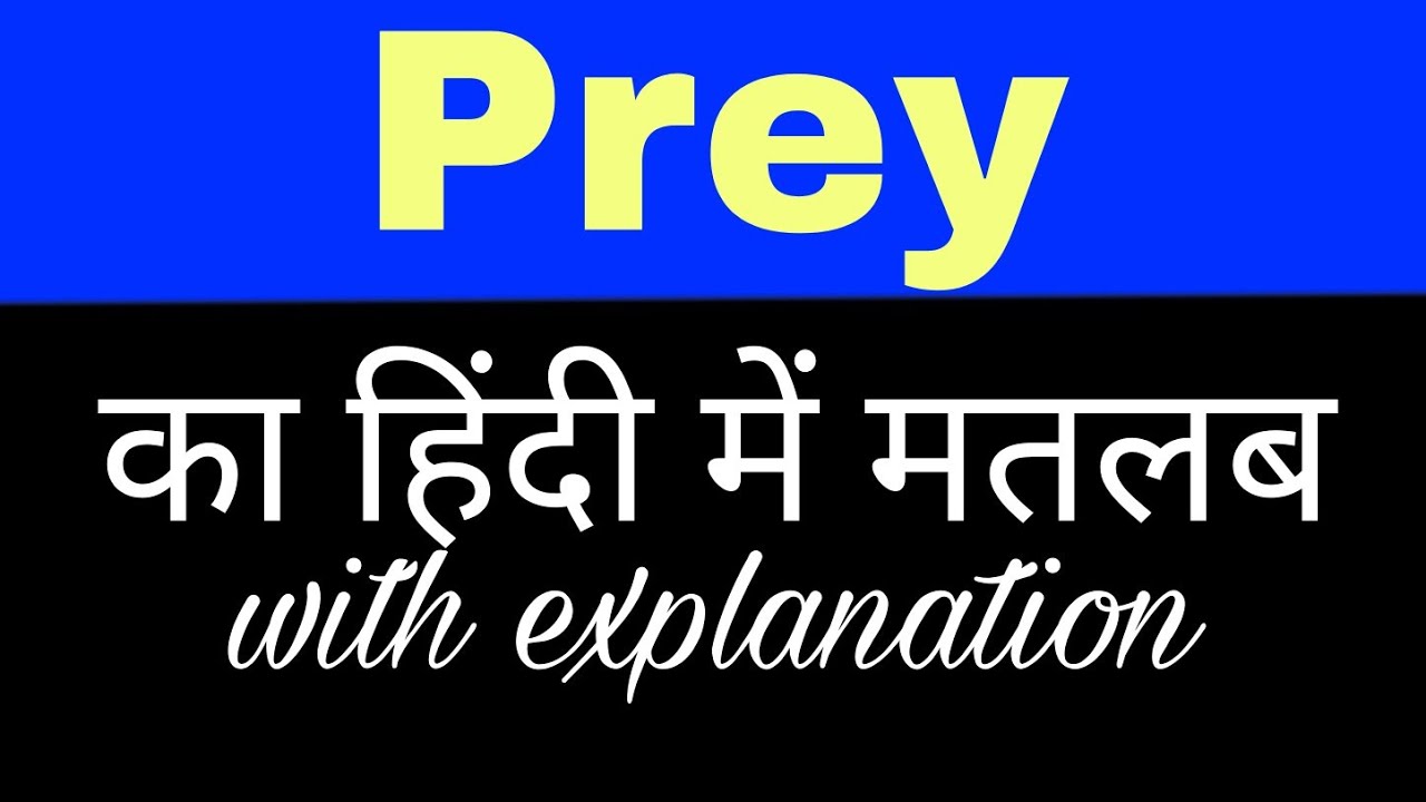 Prey meaning in hindi || prey ka matlab kya hota hai || english to hindi  word meaning - YouTube
