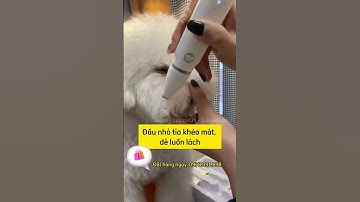 Tông đơ cắt tỉa, cạo lông cho thú cưng đơn giản đa năng 4 trong 1. #chomeo #dog #pets #tongdochomeo