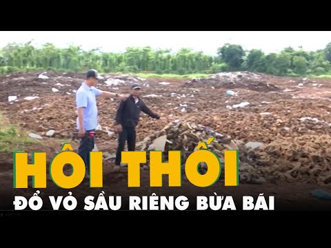 Video Đổ vỏ sầu riêng bừa bãi, bốc mùi thối khiến hàng trăm... - youtube